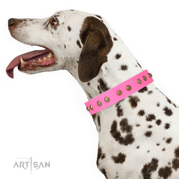 Stylish design embellishments on walking full grain genuine leather dog collar