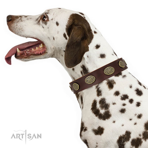 Inimitable embellishments on basic training natural genuine leather dog collar