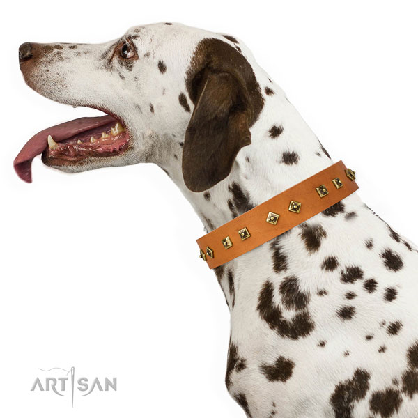 Stunning embellishments on easy wearing dog collar