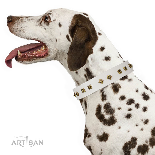Unique embellishments on handy use dog collar