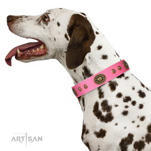 Awesome embellishments on comfy wearing dog collar