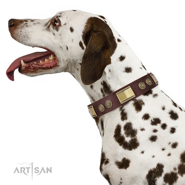 Designer decorations on daily use dog collar