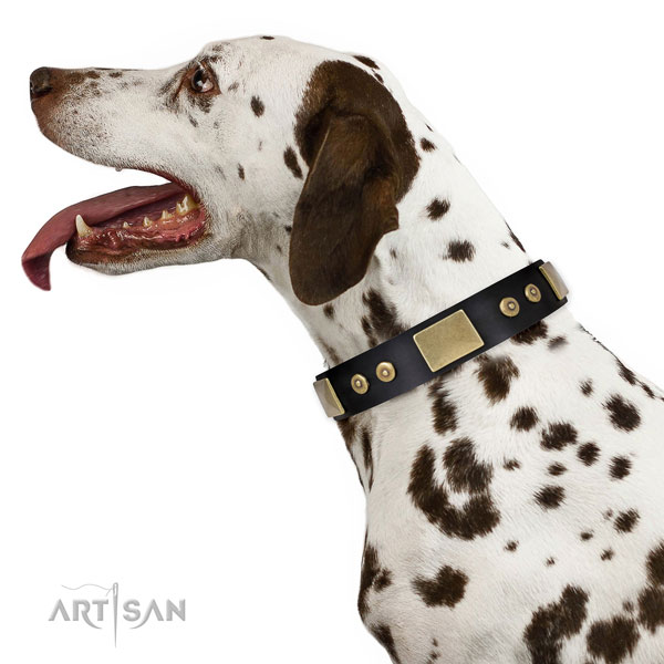 Top notch everyday walking dog collar of leather