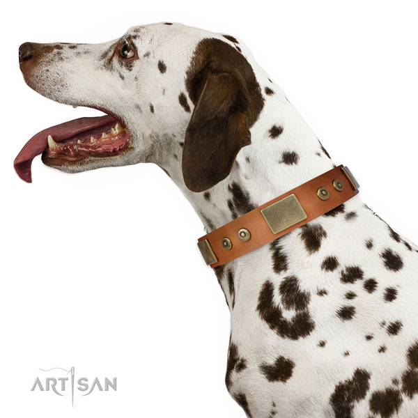 Durable stylish walking dog collar of leather