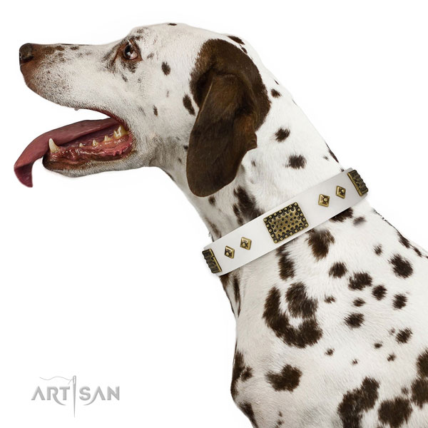 Handy use dog collar of leather with significant decorations
