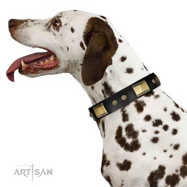 Easy wearing dog collar of genuine leather with stylish decorations