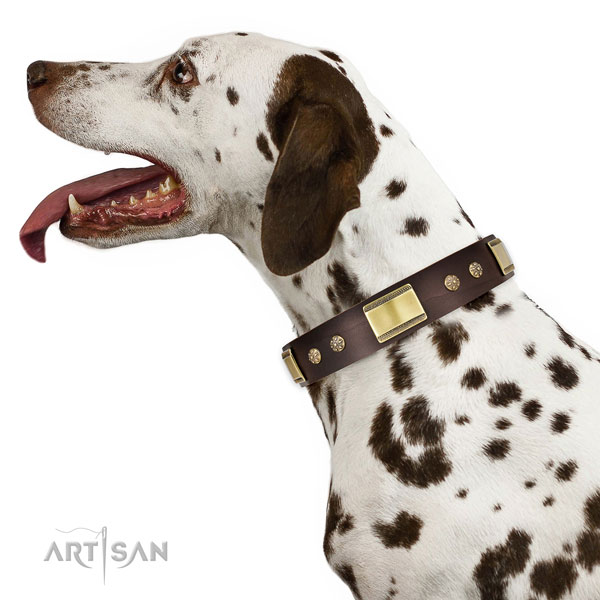 Comfy wearing dog collar of genuine leather with fashionable embellishments