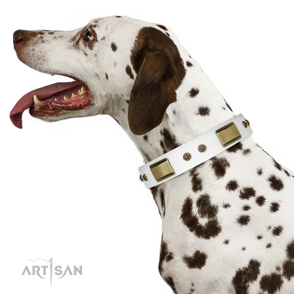 Basic training dog collar of natural leather with unusual studs