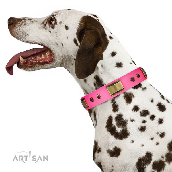 Easy wearing dog collar of genuine leather with amazing studs