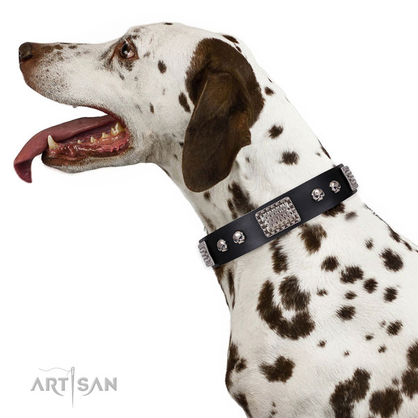 Handmade full grain leather collar for your impressive pet
