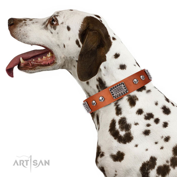 Unusual full grain natural leather collar for your lovely canine