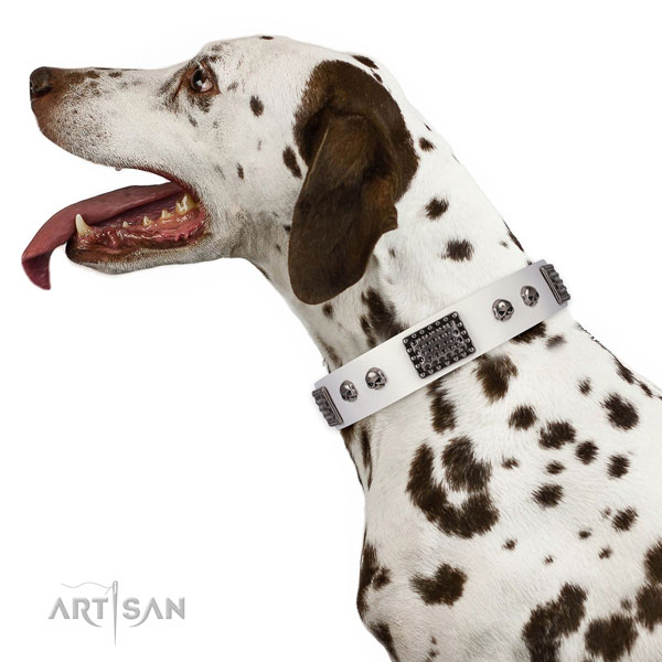 Amazing full grain natural leather collar for your beautiful four-legged friend
