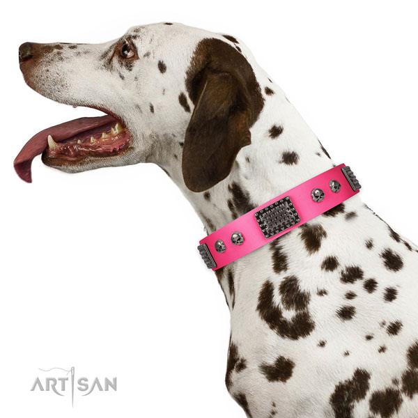Stylish genuine leather collar for your stylish pet