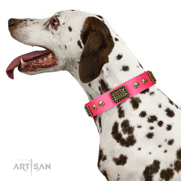 Reliable hardware on full grain natural leather dog collar for walking