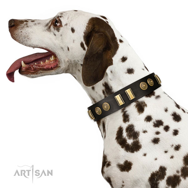 Strong D-ring on genuine leather dog collar for comfy wearing