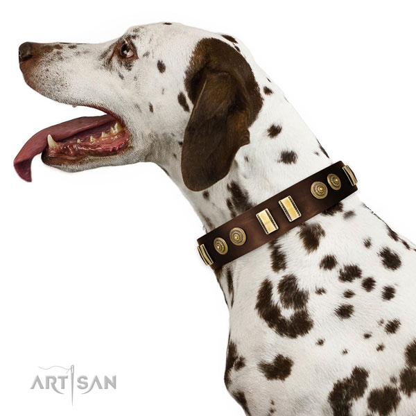 Corrosion proof traditional buckle on leather dog collar for comfortable wearing