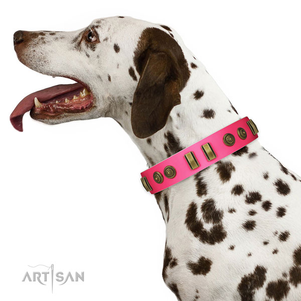 Handy use dog collar of natural leather with inimitable embellishments
