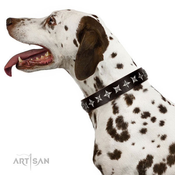 Daily use studded dog collar of top quality natural leather