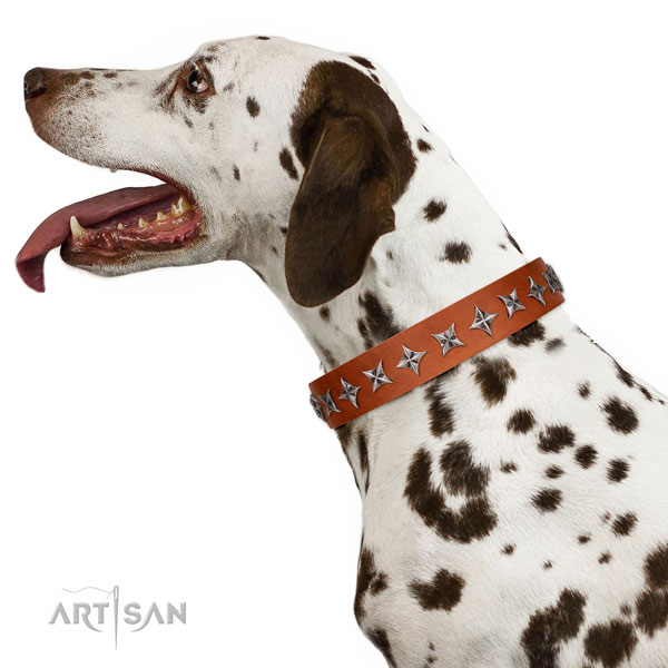 High quality full grain genuine leather dog collar with significant decorations