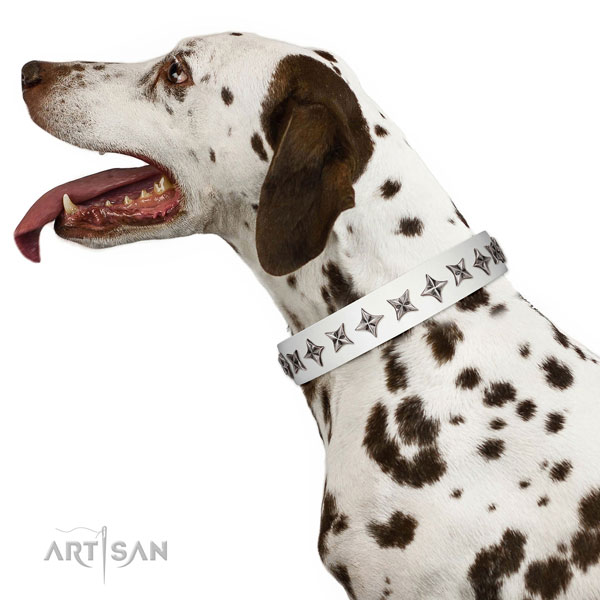 Strong leather dog collar with top notch decorations