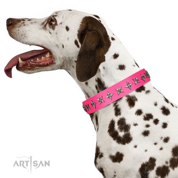 Top notch full grain genuine leather dog collar with stunning decorations