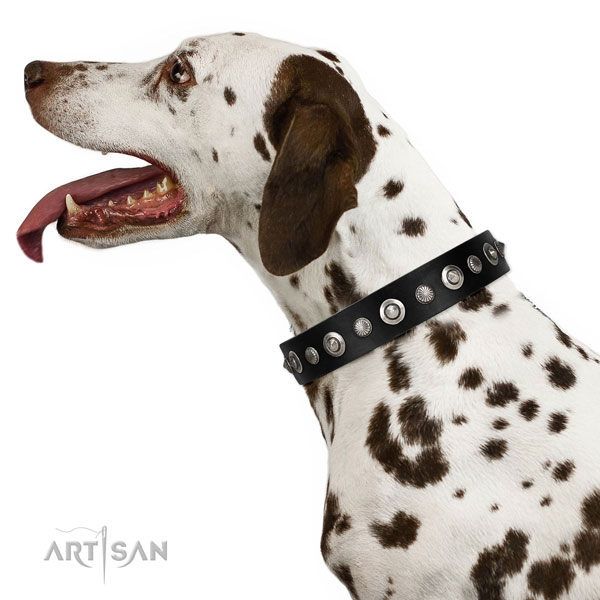 Durable natural leather dog collar with stunning decorations