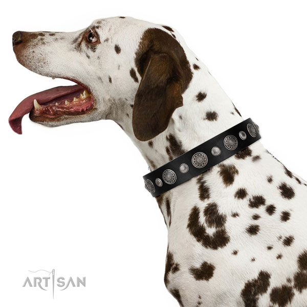 Natural leather collar with corrosion resistant buckle for your handsome pet