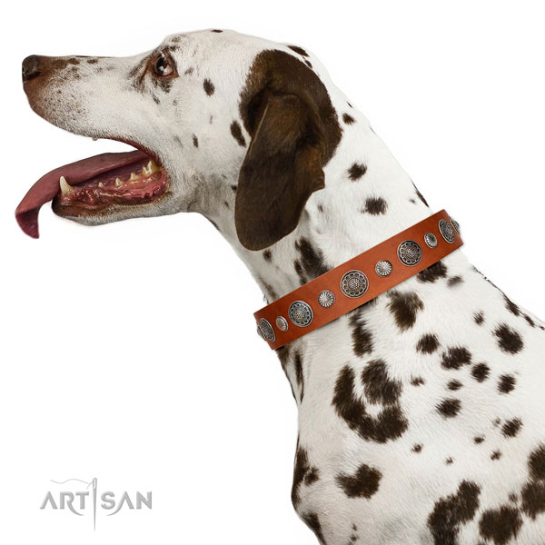 Easy wearing full grain genuine leather dog collar with rust resistant buckle