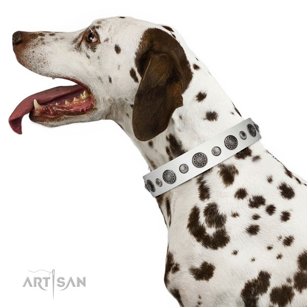 Best quality Full grain natural leather dog collar with corrosion resistant D-ring