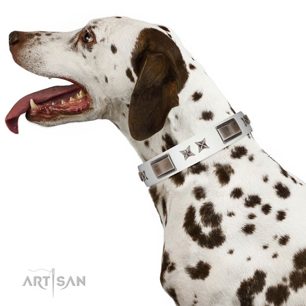 Decorated collar of full grain genuine leather for your stylish four-legged friend
