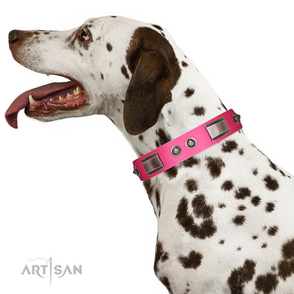 Trendy full grain genuine leather dog collar with adornments