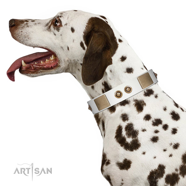 Comfortable wearing dog collar of leather with designer embellishments
