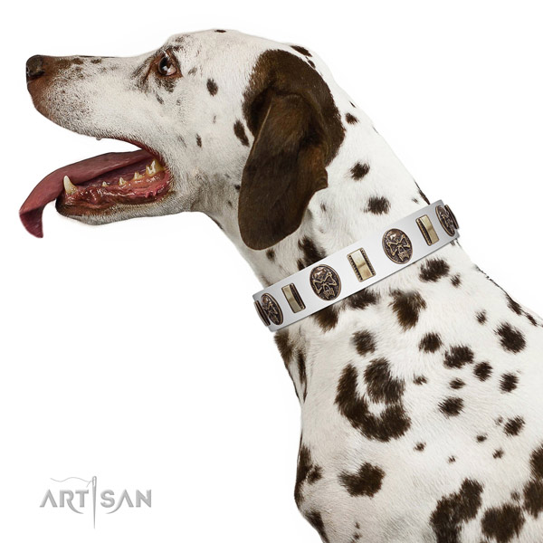 Natural leather dog collar with stylish decorations