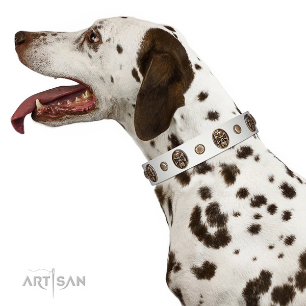 Full grain genuine leather dog collar with incredible embellishments