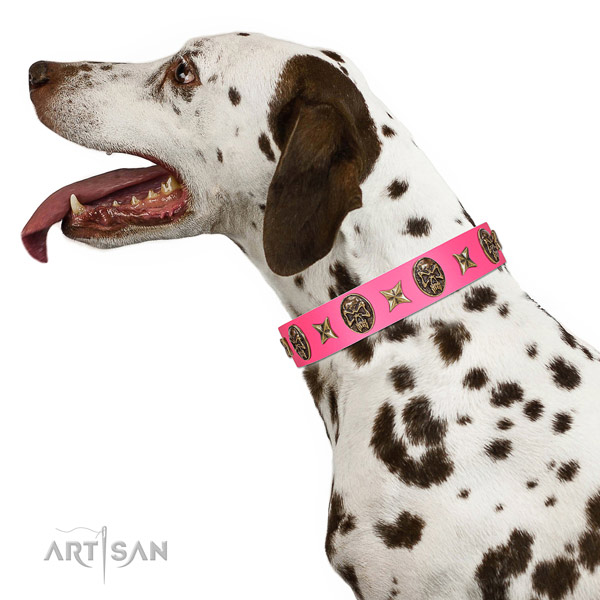 Easy wearing dog collar crafted for your stylish four-legged friend