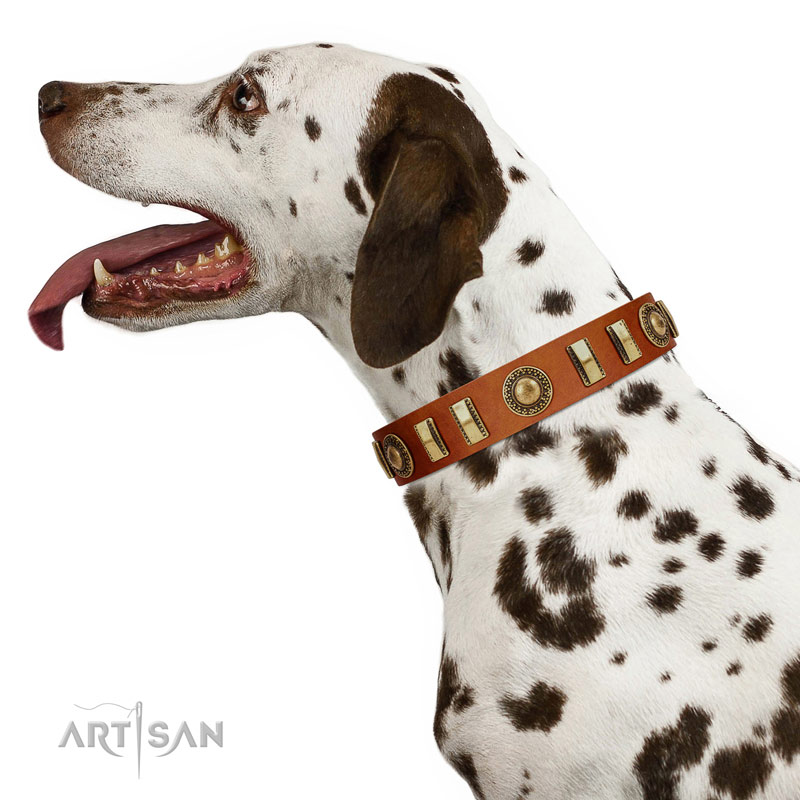 COLLAR - DESERT MINT  Dog collar, Leather dog collars, Designer dog collars