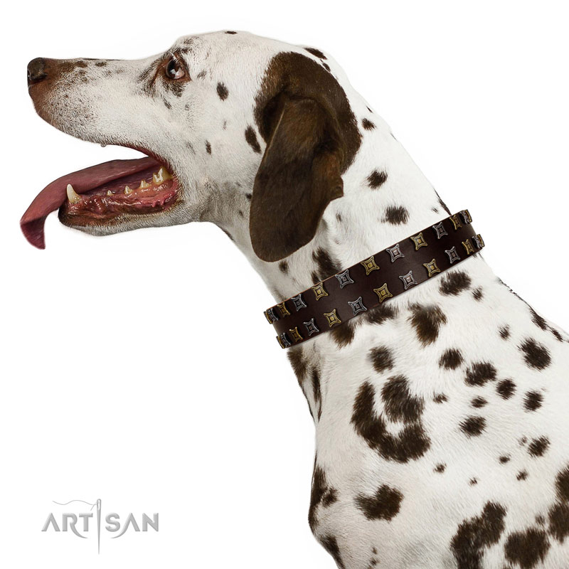 Fido's Pleasure FDT Artisan Brown Leather Dog Collar with Amazing