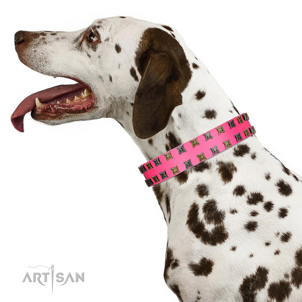 Gentle to touch full grain leather dog collar with adornments for your dog