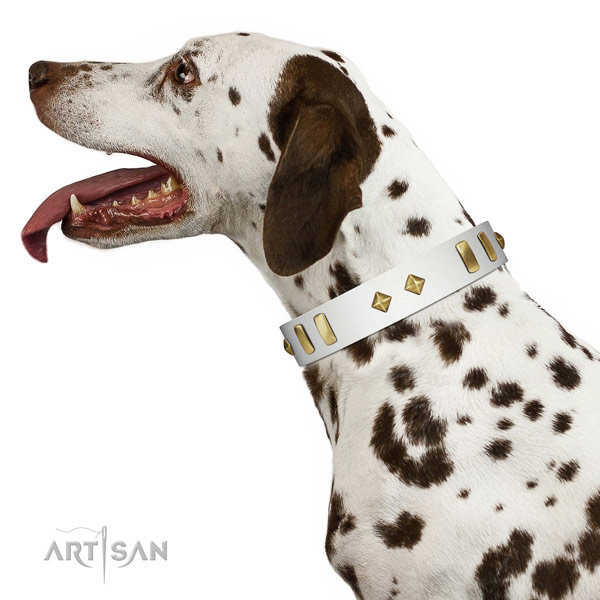 Stylish walking soft full grain natural leather dog collar with adornments