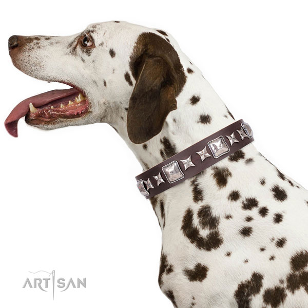 Dalmatian full grain genuine leather dog collar for comfy wearing