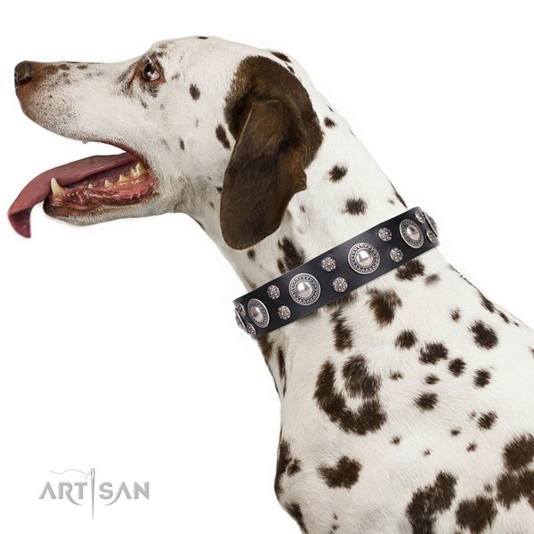 Dalmatian natural genuine leather dog collar for daily use