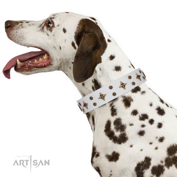 Dalmatian full grain genuine leather dog collar for handy use