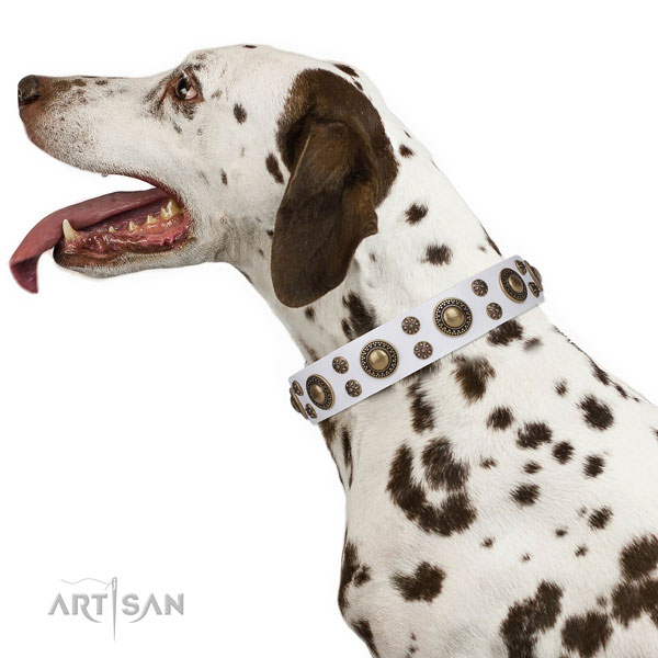 Dalmatian natural genuine leather dog collar for comfortable wearing