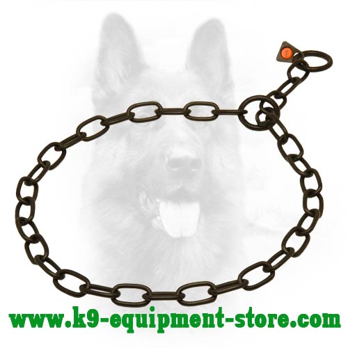 Black Stainless Steel Canine Choke Collar for Obedience Training