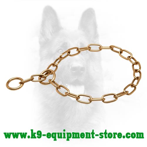 Curogan Canine Choke Collar for Walking