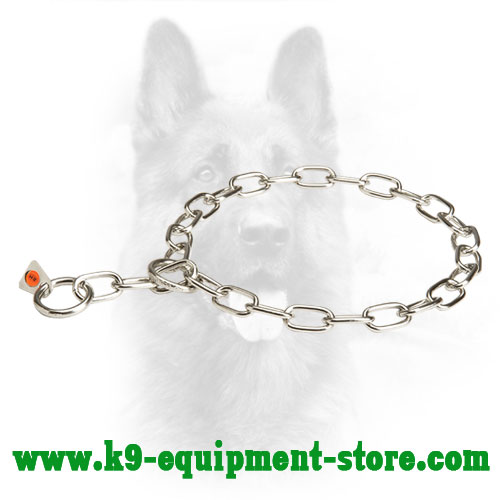 Steel Canine Choke Collar for Walking Steel Dog Choke Collar for Walking