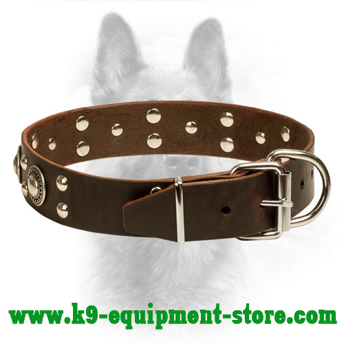 Leather Dog Collar K9 Riveted