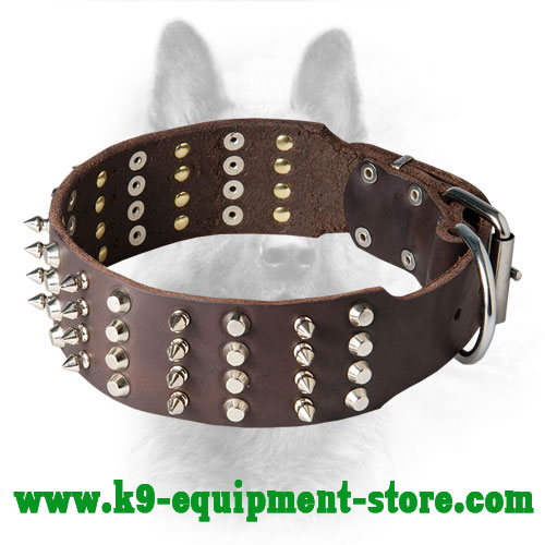 Easy Walking and Training Leather K9 Collar