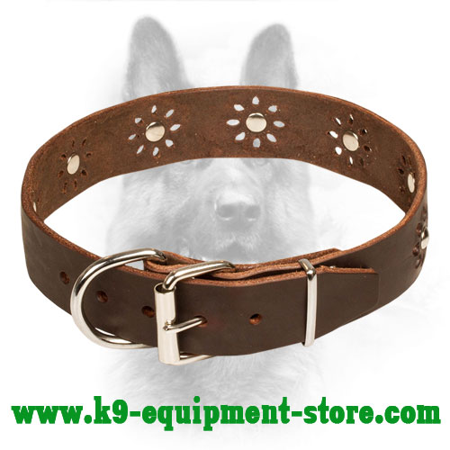 K9 Leather Dog Collar Nickel Buckle