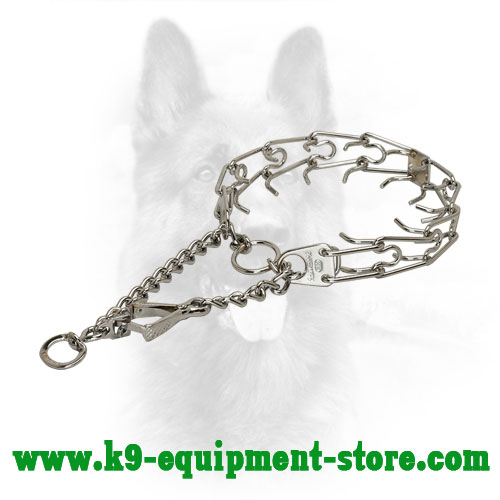 Chrome Plated Canine Pinch Collar Steel with Prongs